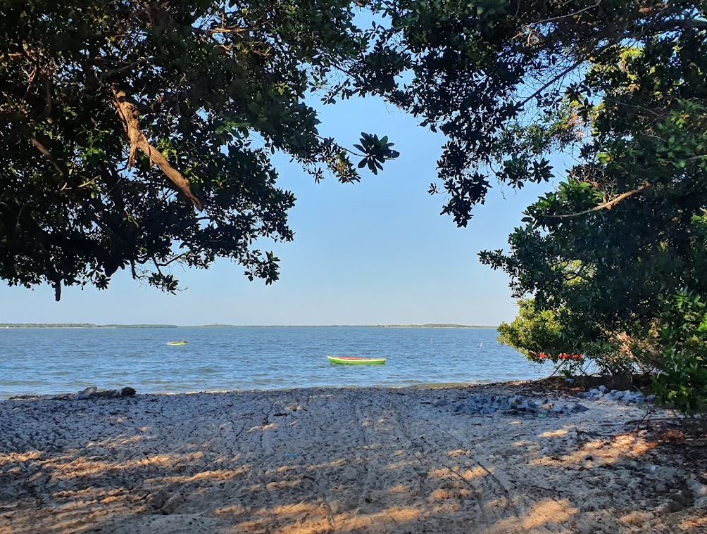 Cajueiro Da Praia Uma Cidade De Belas Praias