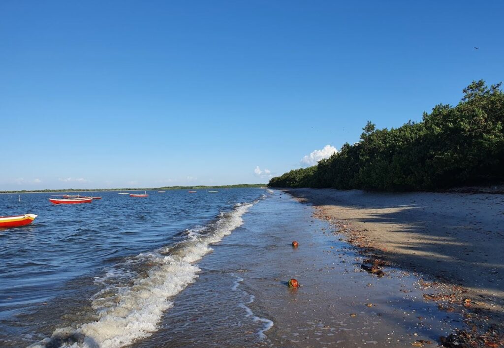 Cajueiro da Praia Piauí