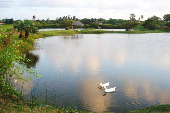 Delta Park Hotel - Parnaíba Piauí